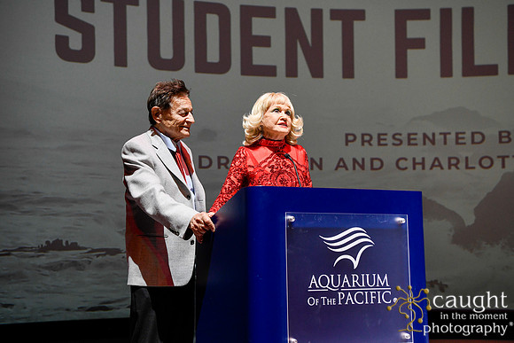093 High Tide Film Festival 2024