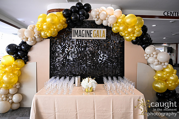 009 Imagine Gala 2024