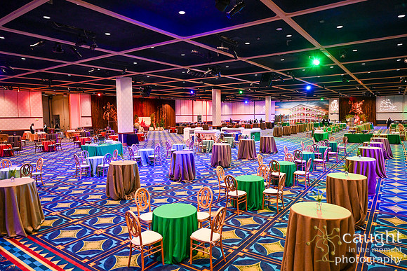 134 IEEE PES TandD Anaheim 2024