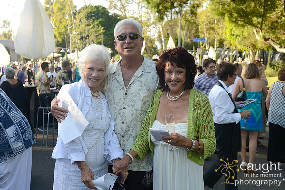 095 MTW Broadway in the Park 2014