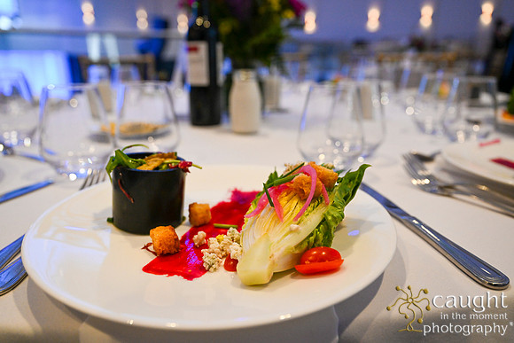 019 EcoCouture Gala 2024