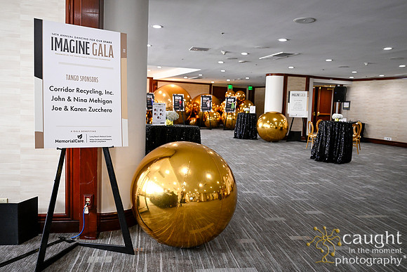 014 Imagine Gala 2024