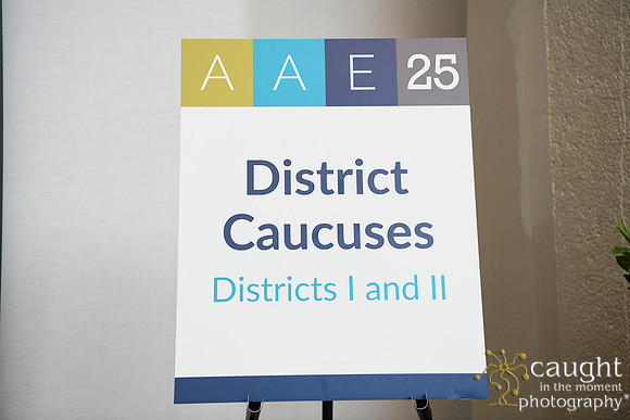 1180 AAE 2025 in Boston - District Caucuses