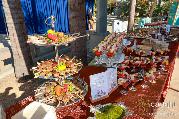 031 Aquarium of the Pacific Blue Whale Gala and After Party 2025