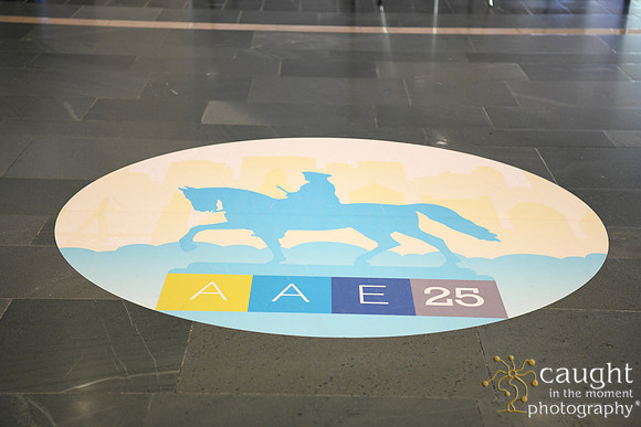 037 AAE 2025 in Boston - Registration & Signage