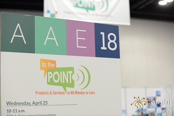 397 AAE 2018 in Denver-Corporate Workshops & Lectures