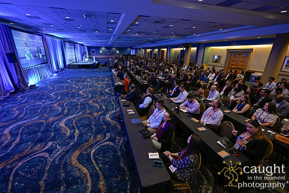 067 APEX IFSA GlobalExpo2024
