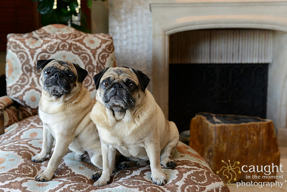 002 Maize Family Portraits