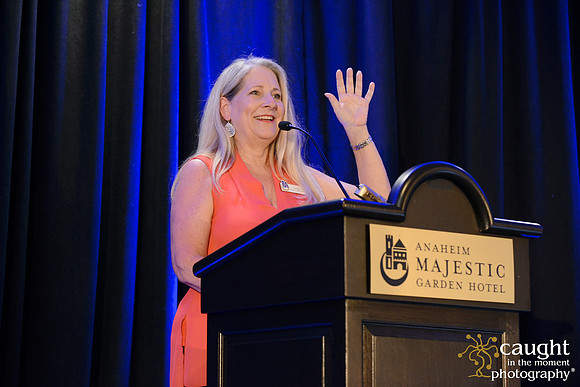 222 MPI OC Education Summit 2017