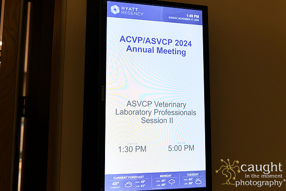 185 ACVP 2024 in Seattle