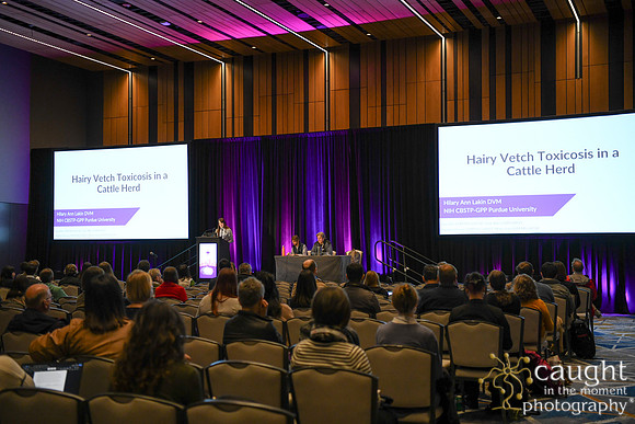 199 ACVP 2024 in Seattle
