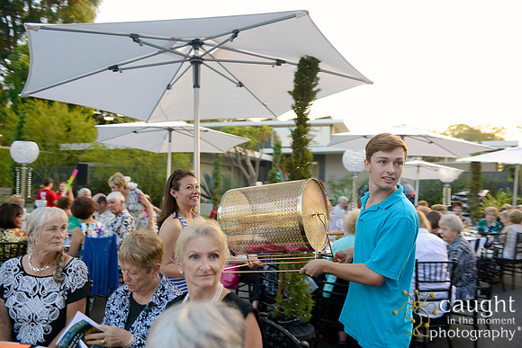 103 MTW Broadway in the Park 2014