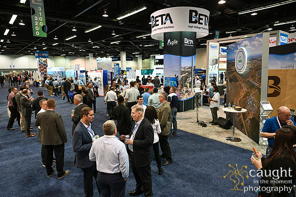 020 IEEE PES T&D 2024-Beta