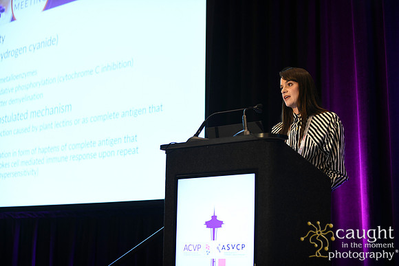 209 ACVP 2024 in Seattle
