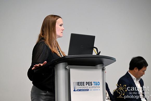 1299 IEEE PES TandD Anaheim 2024
