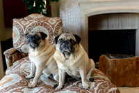 003 Maize Family Portraits