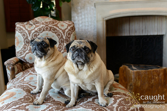 003 Maize Family Portraits