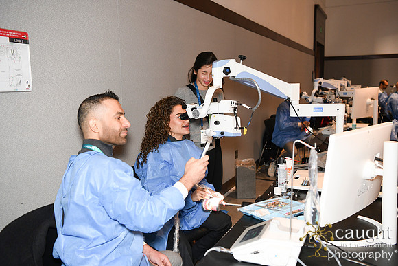 381 AAE 2025 in Boston - Hands-On Courses