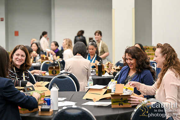 1232 IEEE PES TandD Anaheim 2024