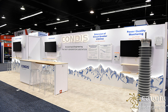 059 IEEE PES T&D 2024-Condis