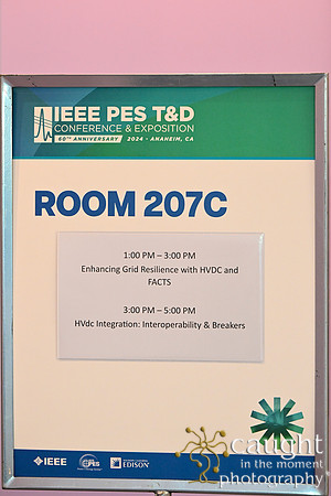 1316 IEEE PES TandD Anaheim 2024