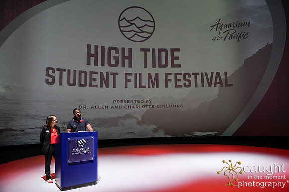 103 High Tide Film Festival 2024