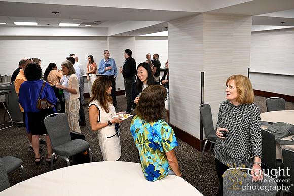 744 AOM 2024 AOM Fellows Responsible Research in Management Awards