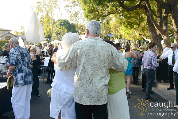 096 MTW Broadway in the Park 2014