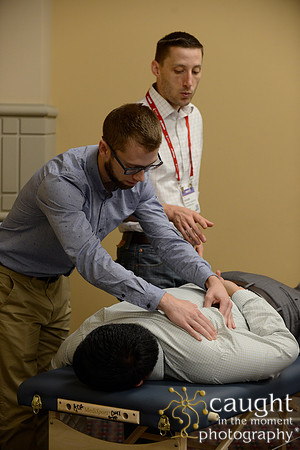 745 OMED 2017 Sessions