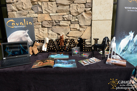 025 MPI OC at Irvine Marriott