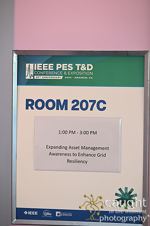 1589 IEEE PES TandD Anaheim 2024