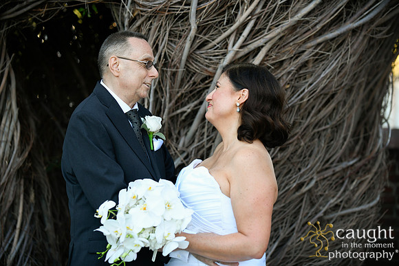 256 Greet Wedding