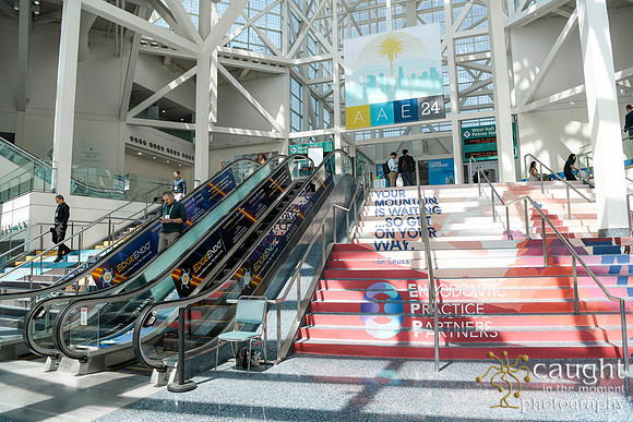 076 AAE 2024 in Los Angeles - Registration & Signage
