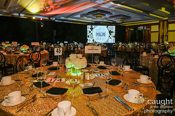 051 Imagine Gala 2024