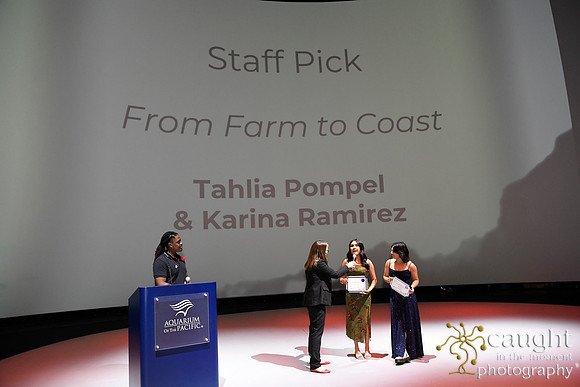 125 High Tide Film Festival 2024