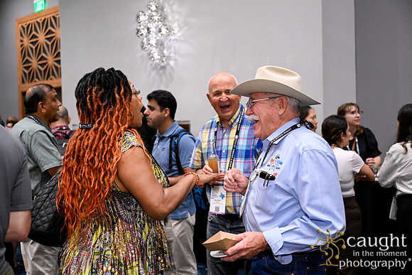984 IEEE PES General Meeting 2025 Austin