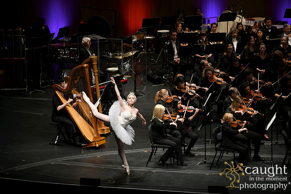 202 Family Concert 2019 Long Beach Symphony Orchestra