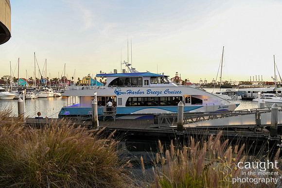 002 Marine Recreation Association in Long Beach 2024