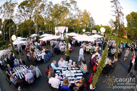 105 MTW Broadway in the Park 2014