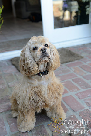 040 Otto Family Portraits