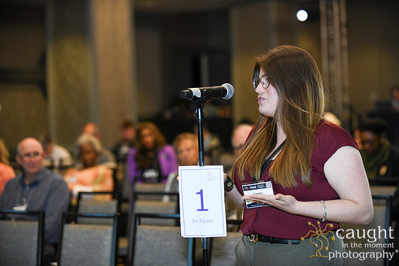 250 IFoRE 2024 Washington DC-Assembly of Delegates