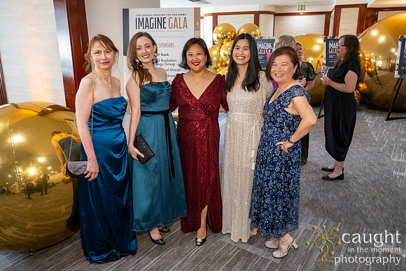 228 Imagine Gala 2024