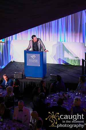 168 Aquarium of the Pacific Blue Whale Gala and After Party 2025