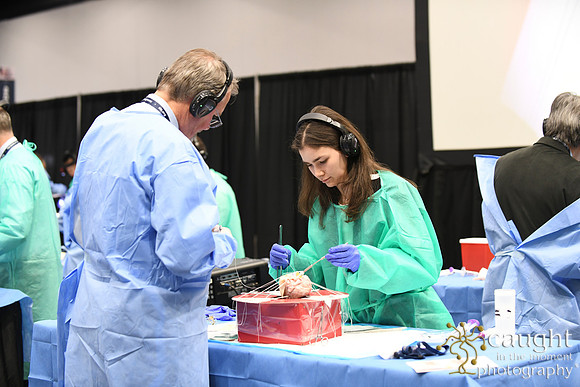 901 STS2025-Hands-On Courses