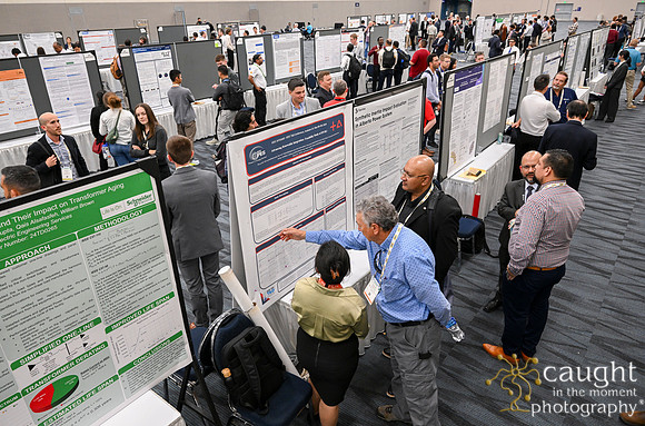 1438 IEEE PES TandD Anaheim 2024
