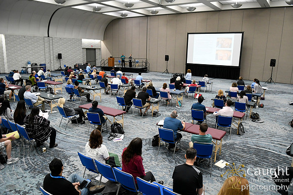 562 OMED 2018 San Diego - OMT Sessions