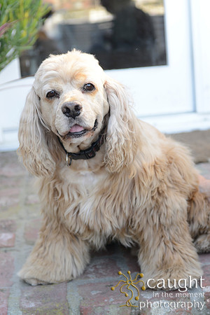 005 Otto Family Portraits