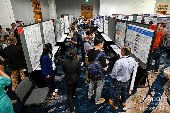 282 IEEE PES General Meeting 2025 Austin