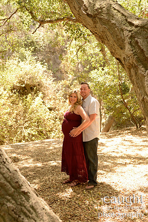 35 Maternity Portraits