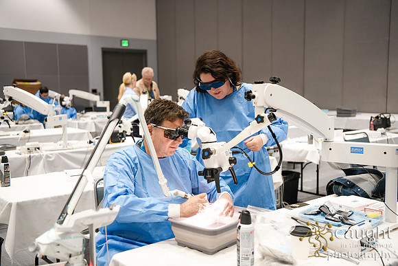 556 AAE 2024 in Los Angeles - Hand-On Sessions